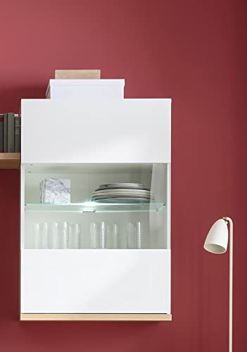 Composad Mundi pensile sospeso 1 anta vetro rovere bianco