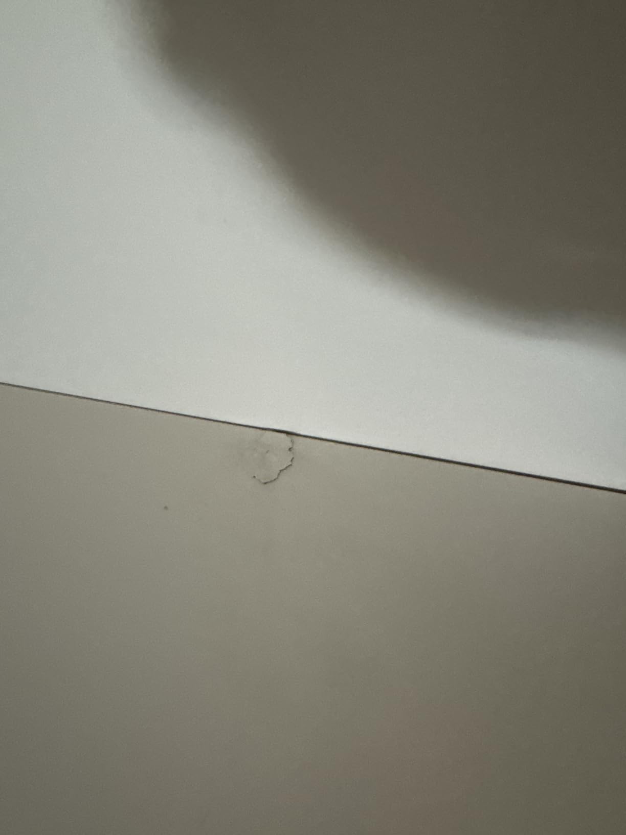 Composad Espresso Armadio 2 Ante 2 Cassetti Rovere Miele 82x184 cm