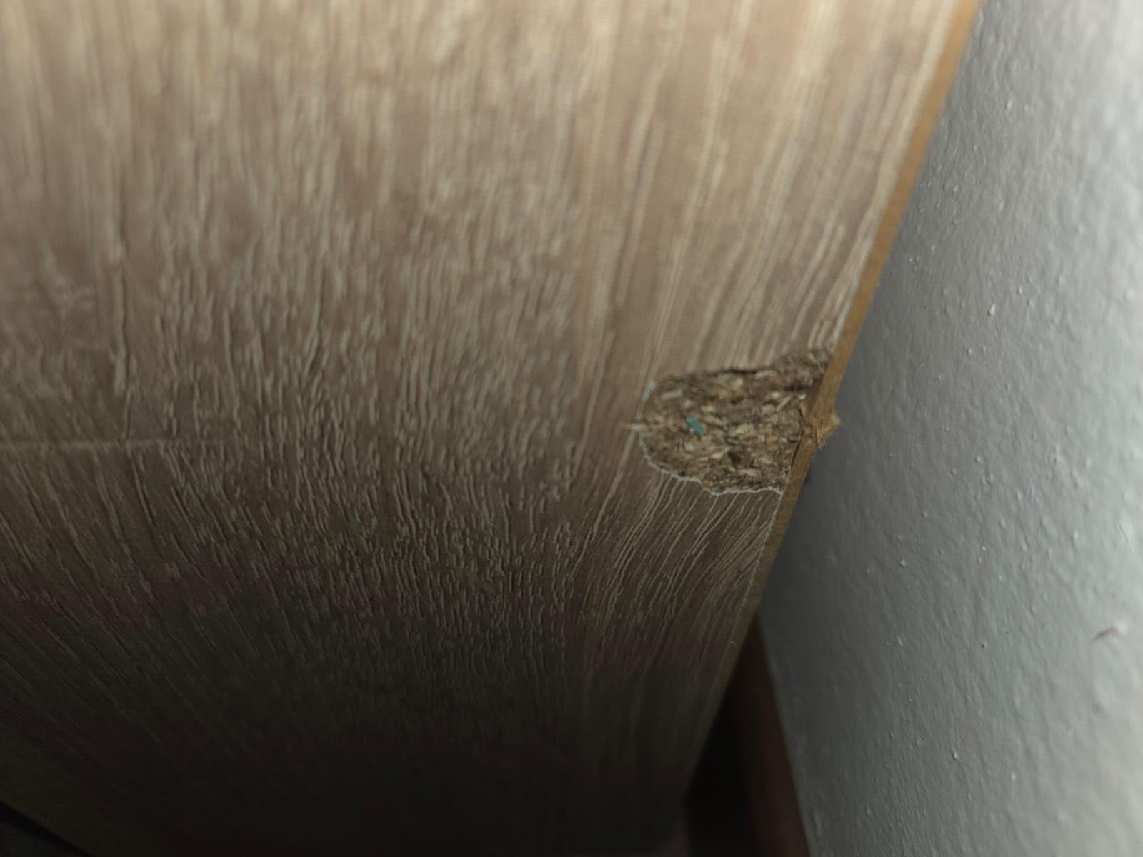 Composad Facile Scarpiera 5 Ribalte Rovere Sonoma Slim 65x164 cm